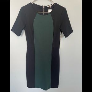 41Hawthorne Colorblock Ponte Dress